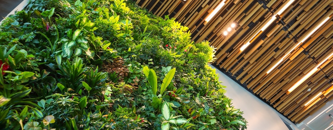 Plastic-potted living walls flagged as potential fire safety risk