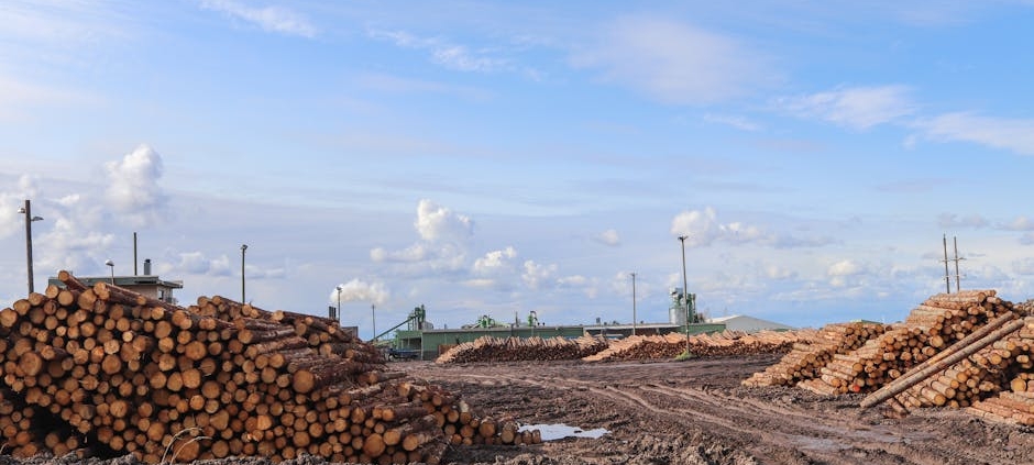 Bjelin celebrates decade-long tenure as Woodura production expands