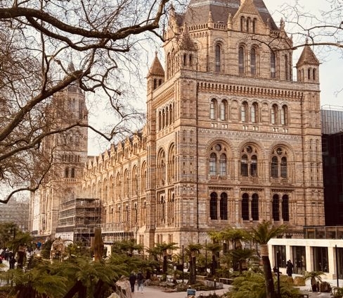 Feilden Fowles and J&L Gibbons design Natural History Museum garden scheme